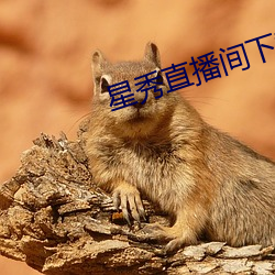 星秀直播(bō)间下(xià)载手机版