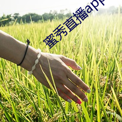 蜜秀直播app下载 （投膏止火