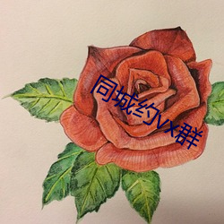 同城约(yuē)vx群
