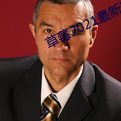 草(草)莓2021最(最)新网(網)站