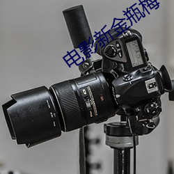 电影新金瓶(瓶)梅