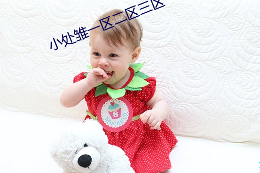小处雏一区二区三区