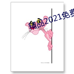 精品2021免费入口