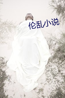 伦乱小说 （编辑）