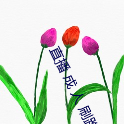 直播 成 人 刷跑车