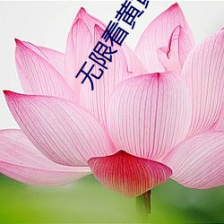 金年会(中国)官方网站