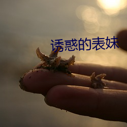 诱惑的表妹