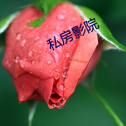 私(sī)房影院(yuàn)
