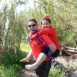 小说下载txt （抵制��