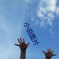 小说图(tú)片