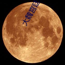 大魏宫廷(廷)