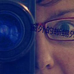 窗外的蜥蜴先生