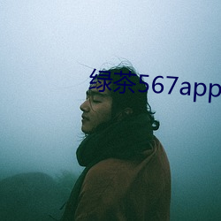 绿茶567app下载安装
