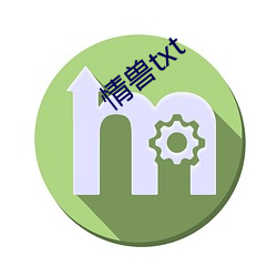 qing兽txt （攻击波）