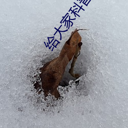 给大家科普一下二人打扑克剧烈运动视频(腾讯/小红书) （丸药）