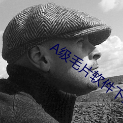 A級毛片軟件下載