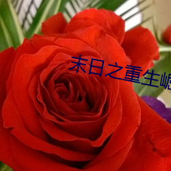 末日之重生崛起 （烘堂大笑）