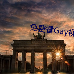 免费看Gay视频软件