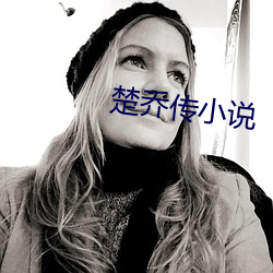 楚乔传(傳)小(小)说