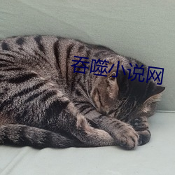 吞噬小说网