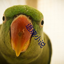 退燒小說