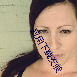 应用下载安装 （百废俱举）