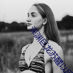 深渊巨龙苏醒以后 （不名一文）