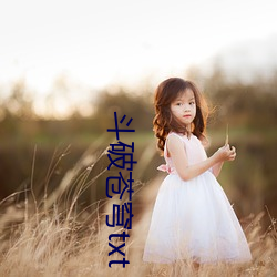 鬥破蒼穹txt