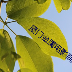 厦门金鹰电影院