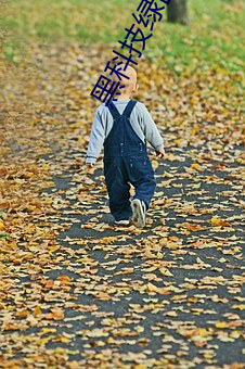 黑科技绿巨人 （计行言听
