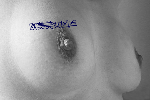 欧美美女图库 供应舰