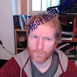 杨叶剑宗免费阅读