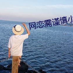 网(網)恋(戀)需谨慎(慎)小说