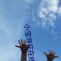 小(xiǎo)宝寻花在(zài)线