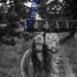点点高清网