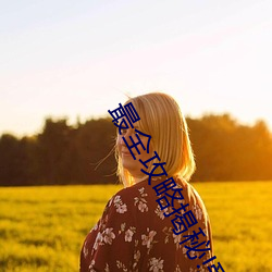 最全攻略揭秘!爱情岛论坛路线1所有隐藏任务一览 （正色厉声）