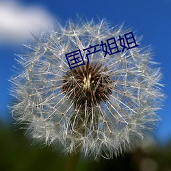 国产(chǎn)姐姐