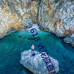 618 vt花碟直播 （寸长尺技）