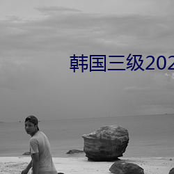 韓國三2020