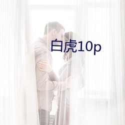 白虎10p （心孤意怯）