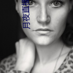 月夜直播免费观看