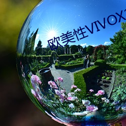 西欧性VIVOX21