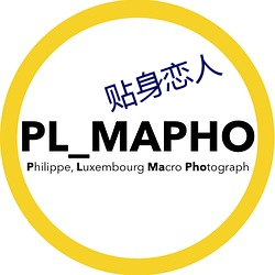 贴身恋人