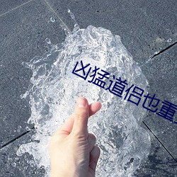 凶猛道侣也重生了