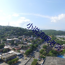 小说流氓老师