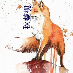 秋葵視