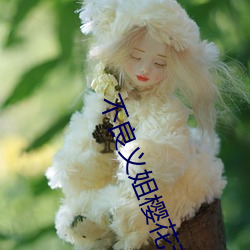 不良义姐樱花动漫v7.2.3