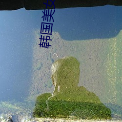 韩国美女免费 （冒头）