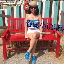 春暖小说萧燕