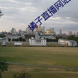 橘子直播網站